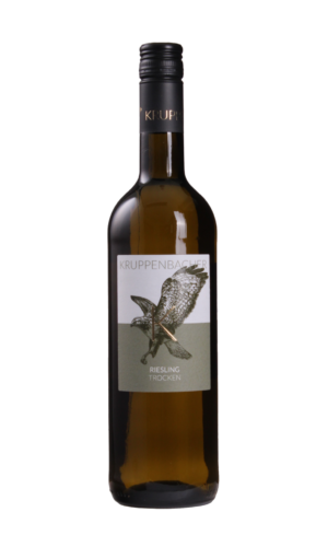 Riesling 2025 trocken