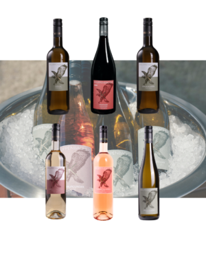 Weinprobierpaket 2026 Juni