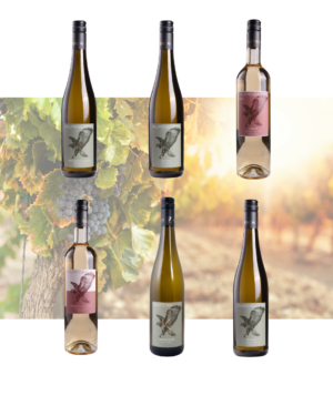 Weinpaket Weiss Feinherb und Lieblich - White and Sweet