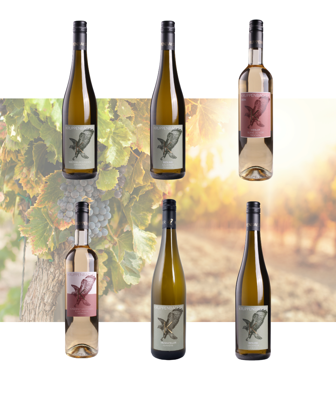 Weinpaket Weiss Feinherb und Lieblich - White and Sweet
