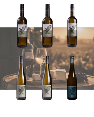 Weinpaket Weiss trocken - White and Dry